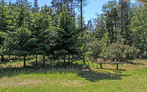 Gerarda - 4Km from the Sea: Baum, Grün, Strauch, Wiese, Weide, Lärche, Wald, Immergrün