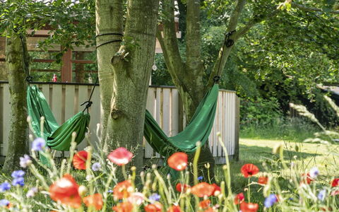 Leevi - 150M from the Sea: Grün, Blatt, Sommer, Garten, Strauch, Rasen, Frühling, Ground, Kofferraum