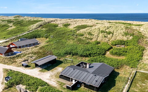 Lill - 50M from the Sea: Pflanzengemeinschaft, Sonnenlicht, Krautige Pflanze, Garten, Plantage, Landwirtschaft, Bauernhof