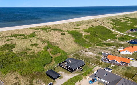 Lill - 50M from the Sea: Pflanzengemeinschaft, Sonnenlicht, Krautige Pflanze, Garten, Plantage, Landwirtschaft, Bauernhof