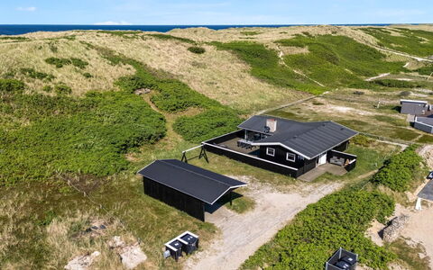 Lill - 50M from the Sea: Pflanzengemeinschaft, Sonnenlicht, Krautige Pflanze, Garten, Plantage, Landwirtschaft, Bauernhof