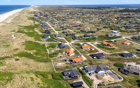 Lill - 50M from the Sea: Pflanzengemeinschaft, Sonnenlicht, Krautige Pflanze, Garten, Plantage, Landwirtschaft, Bauernhof