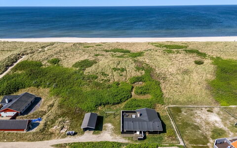 Lill - 50M from the Sea: Pflanzengemeinschaft, Sonnenlicht, Krautige Pflanze, Garten, Plantage, Landwirtschaft, Bauernhof