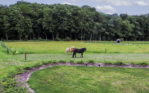 Familieboerderij: Wasser, Gebäude, Wolke, Pflanze, Daytime, Eigentum, Schwimmbad, Himmel, Fenster, Azurblau