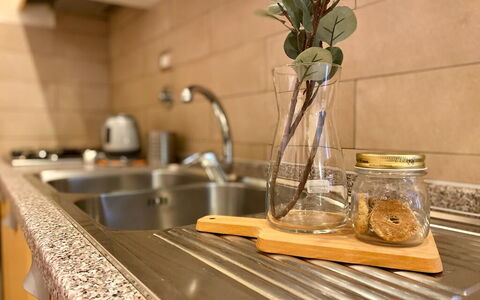 Vintage Apartment in Florence: Spüle, Sinken, Pflanze, Countertop, Zapfhahn, Holz, Interior Design, Armatur, Küche, Zweig