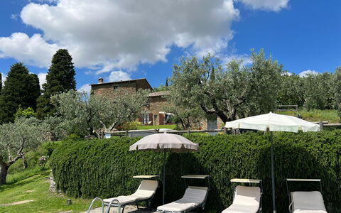 Villa Patrizia: Wolke, Pflanze, Himmel, Pflanzengemeinschaft, Regenschirm, Natur, Baum, Natürliche Landschaft, Schatten, Vegetation