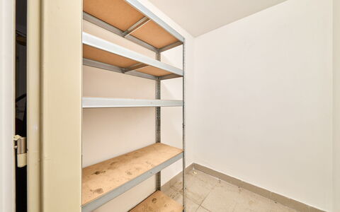 Rokytnice Nad Jizerou 556: Flooring, Fussboden, Zimmer, Decke, Regale, Holzbeize, Sperrholz, Hartholz, Regal