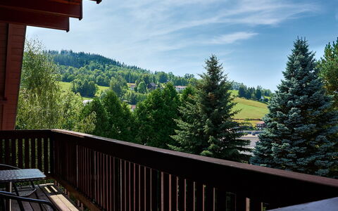 Rokytnice Nad Jizerou 556: Himmel, Wolke, Eigentum, Baum, Veranda, Holz, Berg, Lärche, Zaun, Vegetation