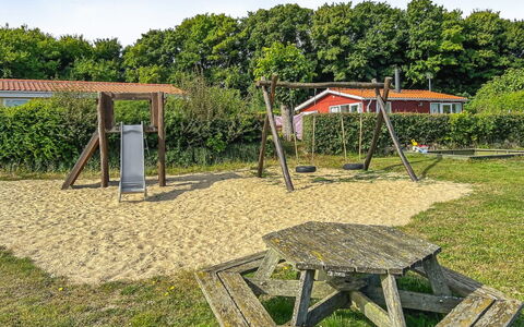 Kjera - 200M from the Sea: Pflanzengemeinschaft, Sonnenlicht, Krautige Pflanze, Garten, Plantage, Landwirtschaft, Bauernhof