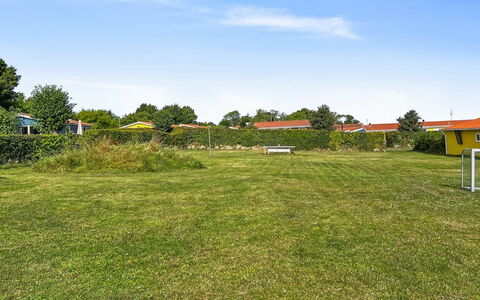 Kjera - 200M from the Sea: Pflanzengemeinschaft, Sonnenlicht, Krautige Pflanze, Garten, Plantage, Landwirtschaft, Bauernhof