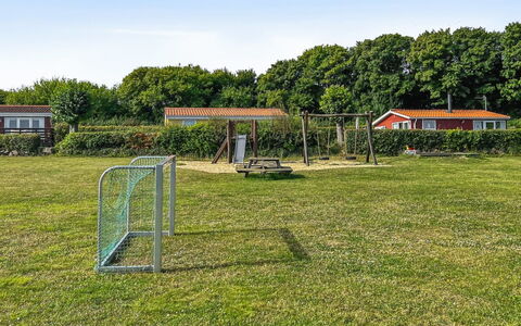 Kjera - 200M from the Sea: Pflanzengemeinschaft, Sonnenlicht, Krautige Pflanze, Garten, Plantage, Landwirtschaft, Bauernhof
