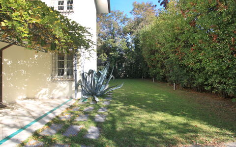 Villa Glicine: Pflanze, Eigentum, Fenster, Blatt, Gebäude, Himmel, Ast, Vegetation, Grundstueck, Baum