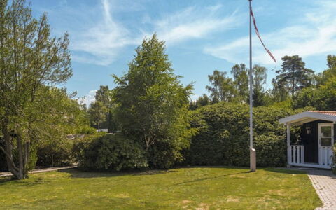 Cedomir - 625M from the Sea: Pflanzengemeinschaft, Sonnenlicht, Krautige Pflanze, Garten, Plantage, Landwirtschaft, Bauernhof