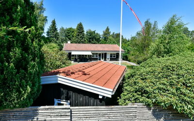 Cedomir - 625M from the Sea