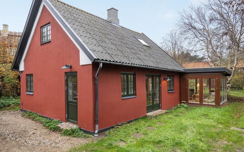 Tabetha - 25M from the Sea: Pflanzengemeinschaft, Sonnenlicht, Krautige Pflanze, Garten, Plantage, Landwirtschaft, Bauernhof