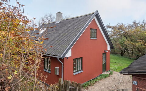 Tabetha - 25M from the Sea: Pflanzengemeinschaft, Sonnenlicht, Krautige Pflanze, Garten, Plantage, Landwirtschaft, Bauernhof