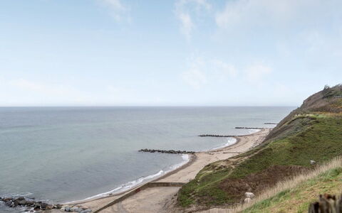 Tabetha - 25M from the Sea: Pflanzengemeinschaft, Sonnenlicht, Krautige Pflanze, Garten, Plantage, Landwirtschaft, Bauernhof
