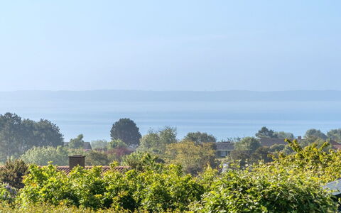 Miona - 725M from the Sea: Pflanzengemeinschaft, Sonnenlicht, Krautige Pflanze, Garten, Plantage, Landwirtschaft, Bauernhof