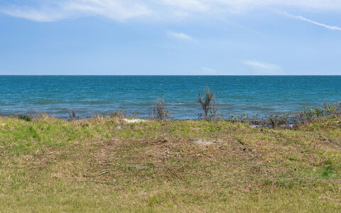 Arild - 10M from the Sea: Pflanzengemeinschaft, Sonnenlicht, Krautige Pflanze, Garten, Plantage, Landwirtschaft, Bauernhof