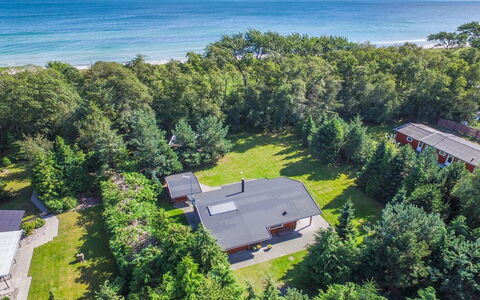 Gulborg - 25M from the Sea: Dach, Haus, Zuhause, Hütte, Abstellgleis, Estate, Auffahrt, Gartenbauten, Garten, Schuppen