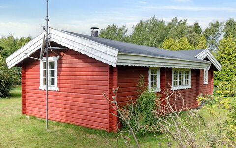 Tuukka - 150M from the Sea: Pflanzengemeinschaft, Sonnenlicht, Krautige Pflanze, Garten, Plantage, Landwirtschaft, Bauernhof