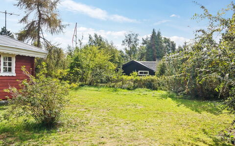 Tuukka - 150M from the Sea: Pflanzengemeinschaft, Sonnenlicht, Krautige Pflanze, Garten, Plantage, Landwirtschaft, Bauernhof