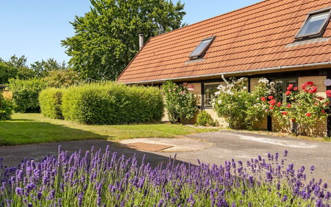 Redlef - 9Km from the Sea: Flooring, Wand, Fussboden, Interior Design, Holz, Decke, Holzboden, Beleuchtung, Möbel, Laminatboden