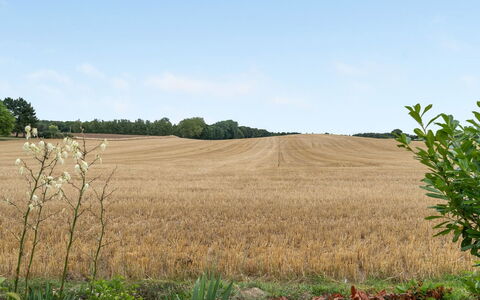 Asya - 600M from the Sea: Blau, Strauch, Hütte, Ground, Garten, Estate, Schatten, Landscaping, Bauernhaus, Eco Hotel