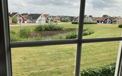 Eike - 250M from the Sea: Pflanzengemeinschaft, Sonnenlicht, Krautige Pflanze, Garten, Plantage, Landwirtschaft, Bauernhof