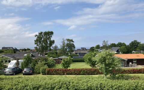 Eike - 250M from the Sea: Pflanzengemeinschaft, Sonnenlicht, Krautige Pflanze, Garten, Plantage, Landwirtschaft, Bauernhof
