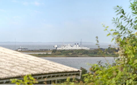 Loi - 200M from the Sea: Pflanzengemeinschaft, Sonnenlicht, Krautige Pflanze, Garten, Plantage, Landwirtschaft, Bauernhof