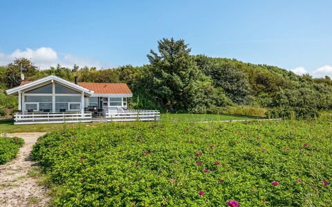 Arnwith - 20M from the Sea: Blume, Strauch, Wolke, Ground, Frühling, Hütte, Garten, Blühende Pflanze, Wiese