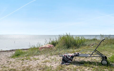 Selja - 15M from the Sea: Pflanzengemeinschaft, Sonnenlicht, Krautige Pflanze, Garten, Plantage, Landwirtschaft, Bauernhof