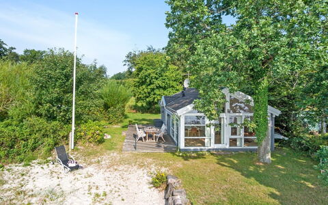 Selja - 15M from the Sea: Pflanzengemeinschaft, Sonnenlicht, Krautige Pflanze, Garten, Plantage, Landwirtschaft, Bauernhof