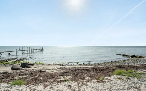 Selja - 15M from the Sea: Pflanzengemeinschaft, Sonnenlicht, Krautige Pflanze, Garten, Plantage, Landwirtschaft, Bauernhof