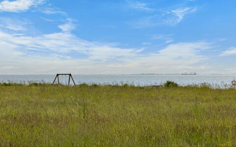 Mato - 100M from the Sea: Himmel, Blau, Daytime, Gras, Grün, Natürlichen Umgebung, Horizont, Wiese, Vegetation, Natürliche Landschaft