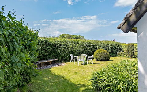 Ajo - 2Km from the Sea: Grün, Gras, Strauch, Garten, Grundstueck, Hecke, Ground, Rasen, Landscaping