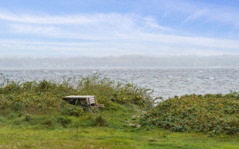 Elisej - 100M from the Sea: Gras, Grün, Natürlichen Umgebung, Horizont, Wiese, Vegetation, Ökoregion, Meer, Pflanzengemeinschaft, Wolke
