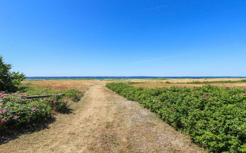 Elisej - 100M from the Sea: Himmel, Blau, Grün, Vegetation, Natürliche Landschaft, Horizont, Wiese, Einfach, Ökoregion
