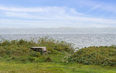 Elisej - 100M from the Sea