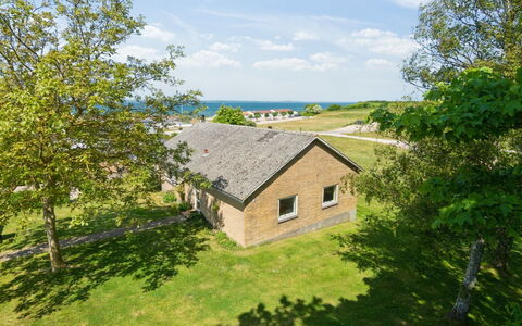 Ambrosius - 75M from the Sea: Pflanzengemeinschaft, Sonnenlicht, Krautige Pflanze, Garten, Plantage, Landwirtschaft, Bauernhof