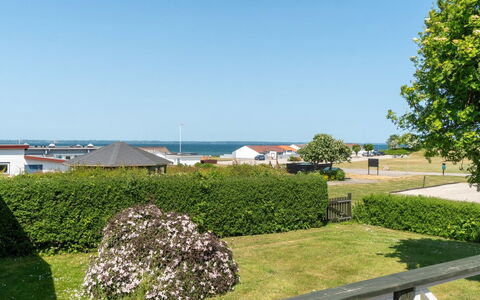 Ambrosius - 75M from the Sea: Pflanzengemeinschaft, Sonnenlicht, Krautige Pflanze, Garten, Plantage, Landwirtschaft, Bauernhof