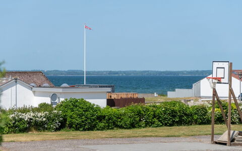 Ambrosius - 75M from the Sea: Pflanzengemeinschaft, Sonnenlicht, Krautige Pflanze, Garten, Plantage, Landwirtschaft, Bauernhof