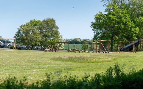 Ambrosius - 75M from the Sea: Pflanzengemeinschaft, Sonnenlicht, Krautige Pflanze, Garten, Plantage, Landwirtschaft, Bauernhof