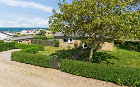 Ambrosius - 75M from the Sea: Pflanzengemeinschaft, Sonnenlicht, Krautige Pflanze, Garten, Plantage, Landwirtschaft, Bauernhof