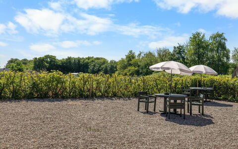 Frothi - 550M from the Sea: Strauch, Sonnenlicht, Garten, Schatten, Plantage, Hecke, Feld, Landscaping, Landwirtschaft, Bauernhof