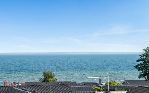 Ebbeline - 150M from the Sea: Pflanzengemeinschaft, Sonnenlicht, Krautige Pflanze, Garten, Plantage, Landwirtschaft, Bauernhof