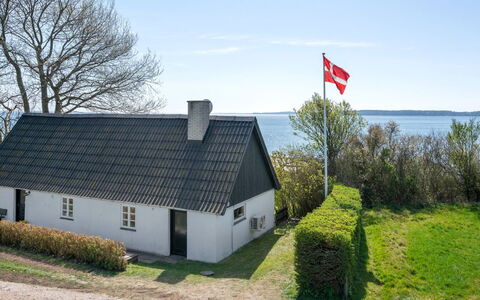 Ose - 50M from the Sea: Pflanzengemeinschaft, Sonnenlicht, Krautige Pflanze, Garten, Plantage, Landwirtschaft, Bauernhof