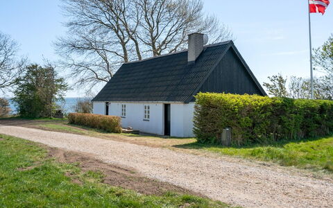 Ose - 50M from the Sea: Pflanzengemeinschaft, Sonnenlicht, Krautige Pflanze, Garten, Plantage, Landwirtschaft, Bauernhof