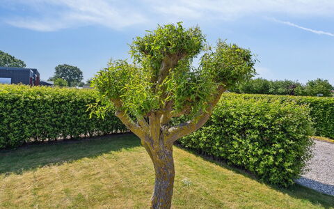 Inge - 300M from the Sea: Blau, Strauch, Hütte, Ground, Garten, Estate, Schatten, Landscaping, Bauernhaus, Eco Hotel